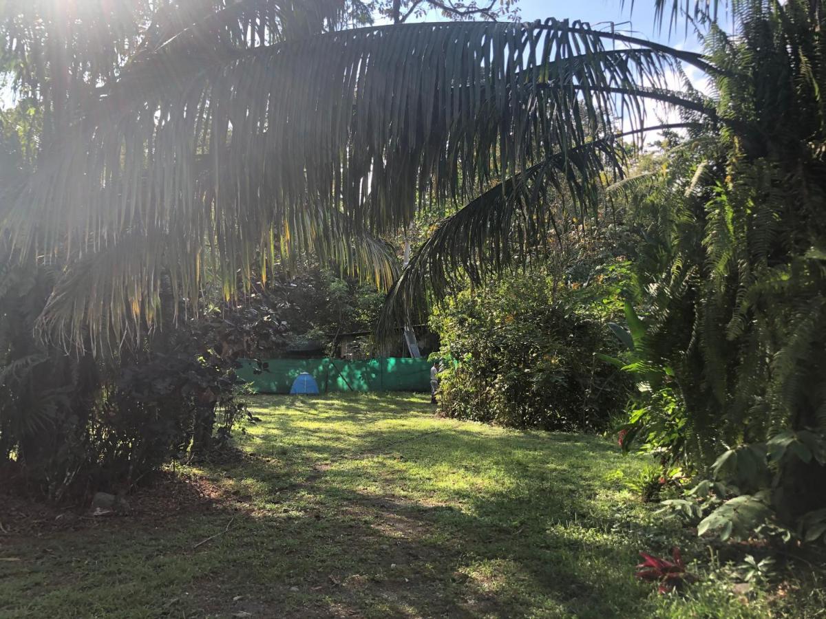 Chosa Manglar Suites & Cabins Puerto Jimenez Exterior photo