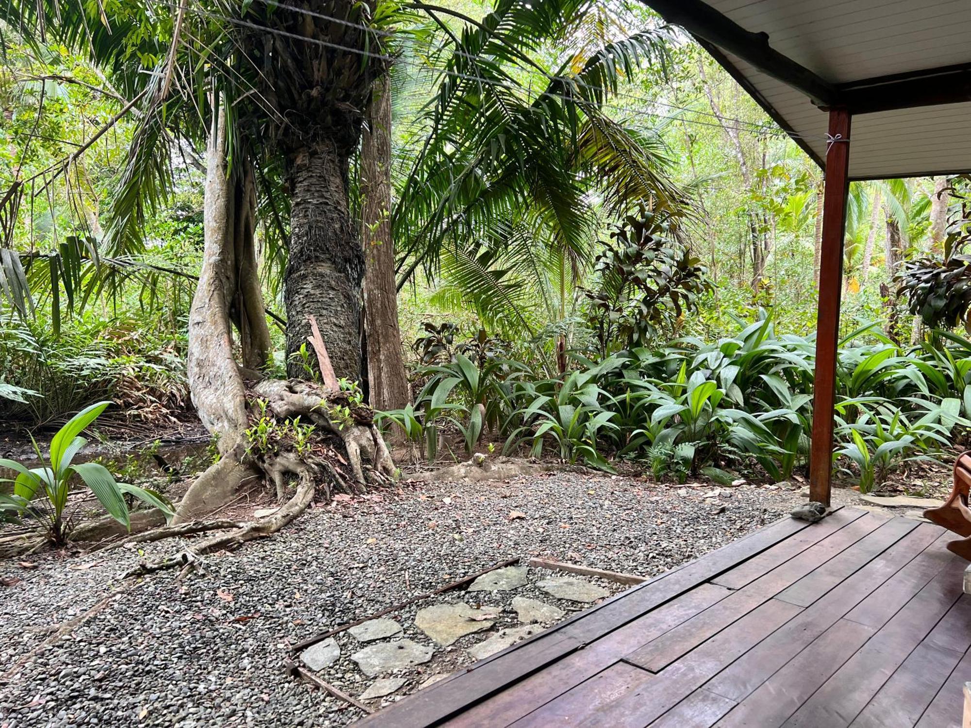 Chosa Manglar Suites & Cabins Puerto Jimenez Exterior photo